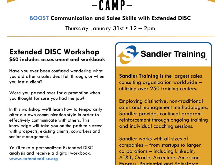 BOOST Communication and Sales Skills with Extended DISC